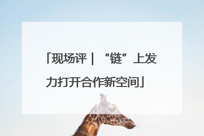 现场评｜“链”上发力打开合作新空间
