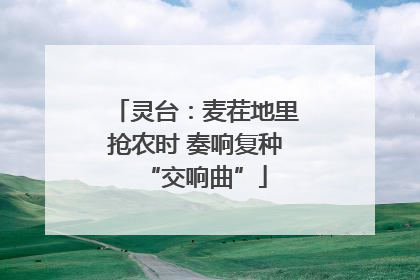 灵台：麦茬地里抢农时 奏响复种“交响曲”