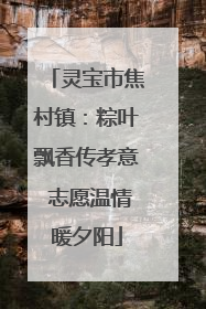 灵宝市焦村镇：粽叶飘香传孝意 志愿温情暖夕阳