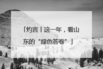 灼言丨这一年，看山东的“绿色答卷”