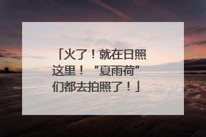 火了！就在日照这里！“夏雨荷”们都去拍照了！