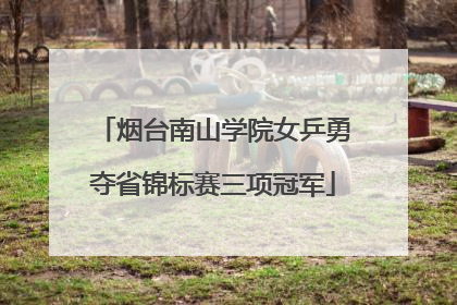 烟台南山学院女乒勇夺省锦标赛三项冠军
