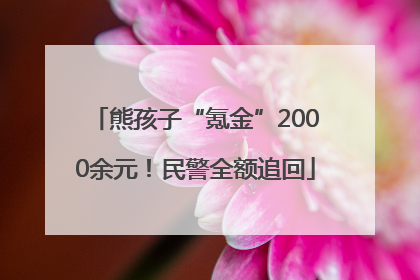 熊孩子“氪金”2000余元！民警全额追回