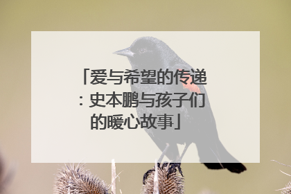爱与希望的传递：史本鹏与孩子们的暖心故事