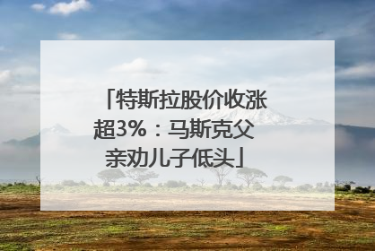 特斯拉股价收涨超3%：马斯克父亲劝儿子低头