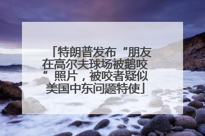 特朗普发布“朋友在高尔夫球场被鹅咬”照片，被咬者疑似美国中东问题特使