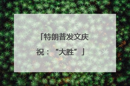 特朗普发文庆祝：“大胜”