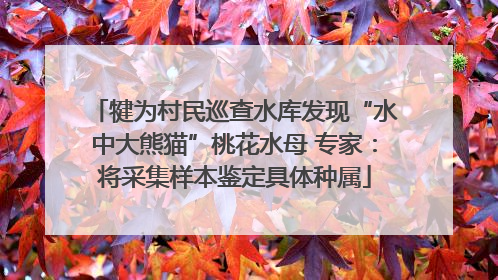犍为村民巡查水库发现“水中大熊猫”桃花水母 专家：将采集样本鉴定具体种属