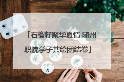 石榴籽聚华夏情 随州职院学子共绘团结卷