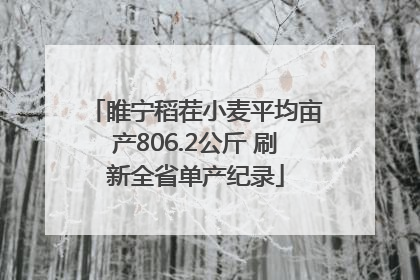 睢宁稻茬小麦平均亩产806.2公斤 刷新全省单产纪录