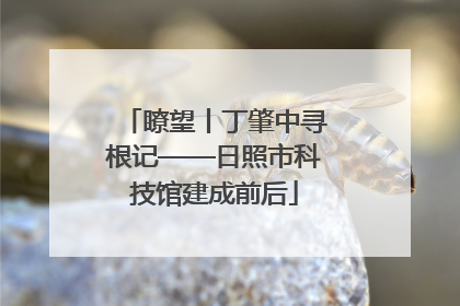 瞭望丨丁肇中寻根记——日照市科技馆建成前后