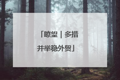 瞭望｜多措并举稳外贸