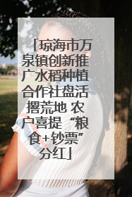 琼海市万泉镇创新推广水稻种植合作社盘活撂荒地 农户喜提“粮食+钞票”分红