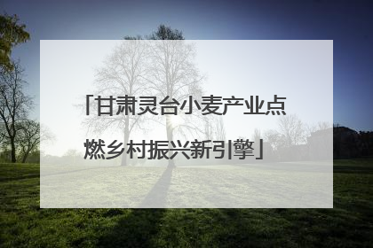甘肃灵台小麦产业点燃乡村振兴新引擎