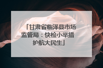甘肃省临泽县市场监管局：快检小举措 护航大民生