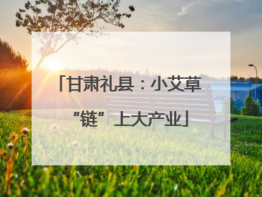 甘肃礼县：小艾草“链”上大产业