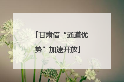 甘肃借“通道优势”加速开放