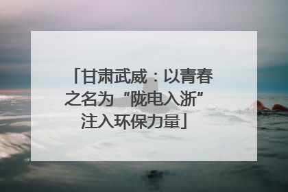 甘肃武威：以青春之名为“陇电入浙”注入环保力量