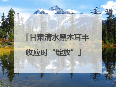 甘肃清水黑木耳丰收应时“绽放”