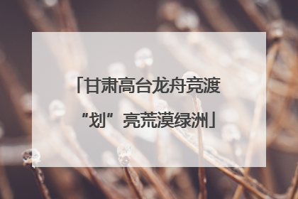 甘肃高台龙舟竞渡“划”亮荒漠绿洲
