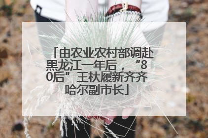 由农业农村部调赴黑龙江一年后，“80后”王杕履新齐齐哈尔副市长
