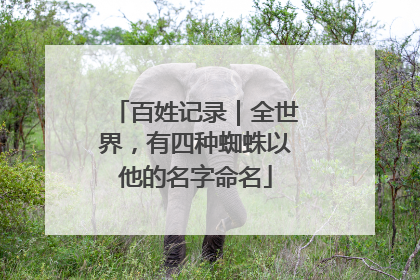 百姓记录｜全世界，有四种蜘蛛以他的名字命名