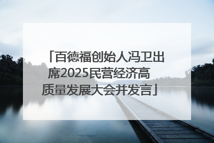 百德福创始人冯卫出席2025民营经济高质量发展大会并发言