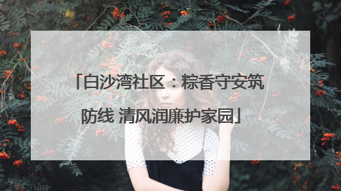 白沙湾社区：粽香守安筑防线 清风润廉护家园