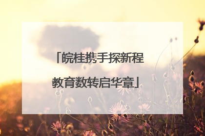皖桂携手探新程 教育数转启华章