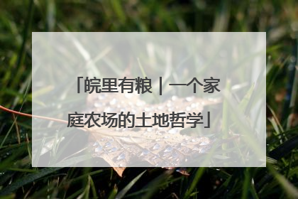 皖里有粮｜一个家庭农场的土地哲学