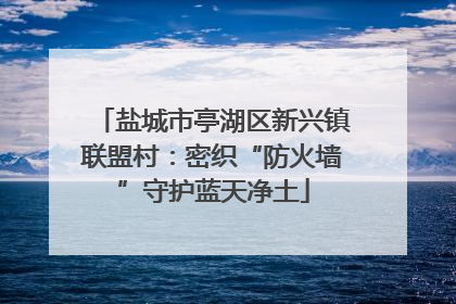 盐城市亭湖区新兴镇联盟村：密织“防火墙”守护蓝天净土