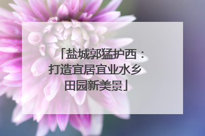盐城郭猛护西：打造宜居宜业水乡田园新美景