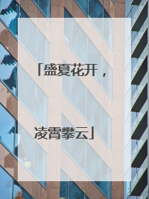 盛夏花开，凌霄攀云