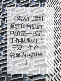省农信联社派驻鱼台县唐马镇第一书记工作队助力“三夏”生产 彰显为民担当