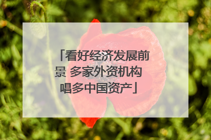看好经济发展前景 多家外资机构唱多中国资产