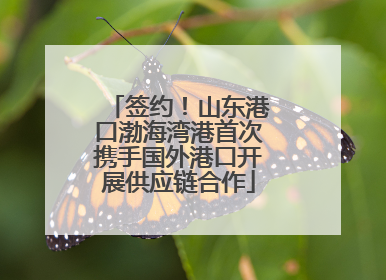 签约！山东港口渤海湾港首次携手国外港口开展供应链合作