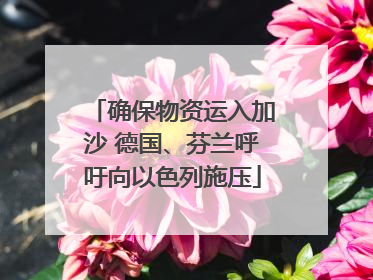 确保物资运入加沙 德国、芬兰呼吁向以色列施压