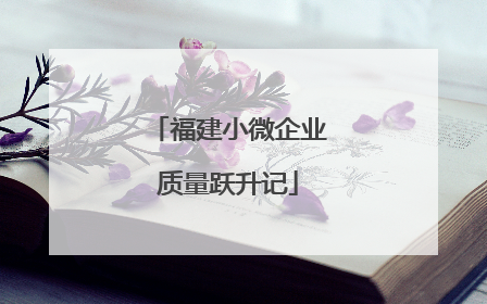 福建小微企业质量跃升记