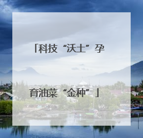 科技“沃土”孕育油菜“金种”