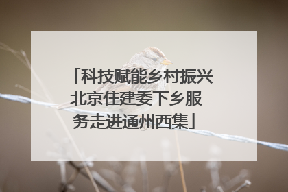科技赋能乡村振兴 北京住建委下乡服务走进通州西集