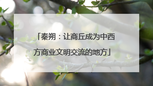 秦朔：让商丘成为中西方商业文明交流的地方
