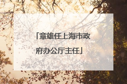 章雄任上海市政府办公厅主任
