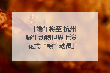 端午将至 杭州野生动物世界上演花式“粽”动员