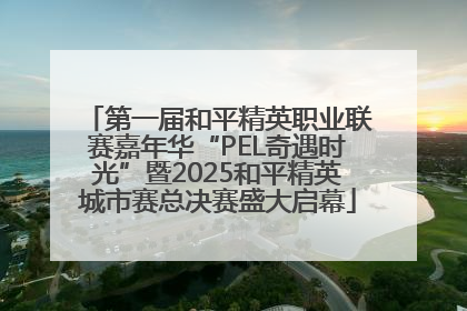第一届和平精英职业联赛嘉年华“PEL奇遇时光”暨2025和平精英城市赛总决赛盛大启幕