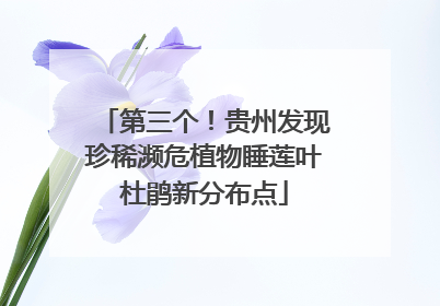 第三个！贵州发现珍稀濒危植物睡莲叶杜鹃新分布点