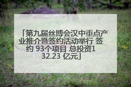 第九届丝博会汉中重点产业推介暨签约活动举行 签约 93个项目 总投资132.23 亿元