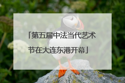 第五届中法当代艺术节在大连东港开幕