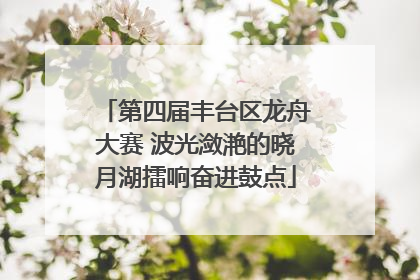 第四届丰台区龙舟大赛 波光潋滟的晓月湖擂响奋进鼓点