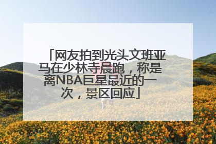 网友拍到光头文班亚马在少林寺晨跑，称是离NBA巨星最近的一次，景区回应