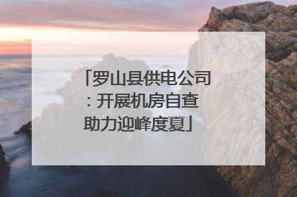 罗山县供电公司：开展机房自查 助力迎峰度夏